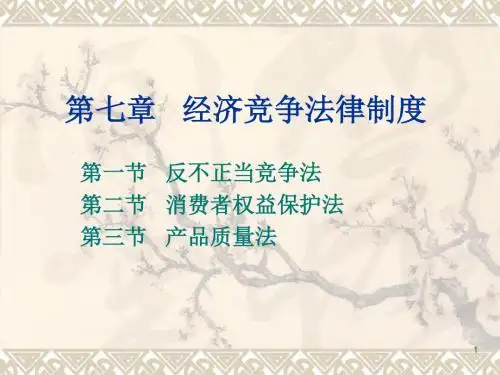 经济竞争法律制度课件