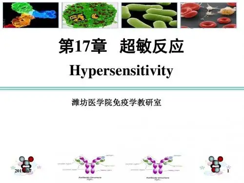 医学免疫学-第17章 超敏反应
