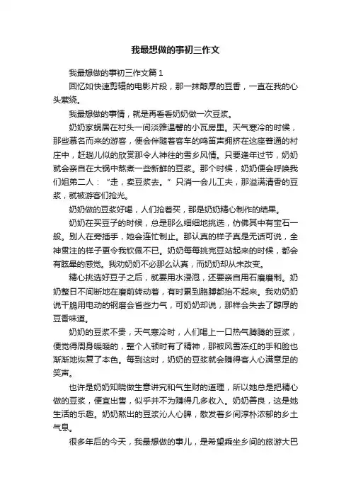 我最想做的事初三作文