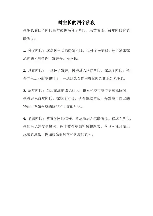 树生长的四个阶段