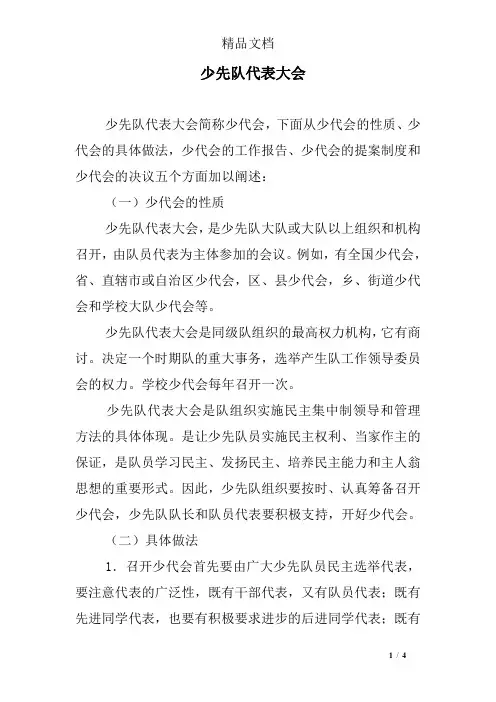 少先队代表大会