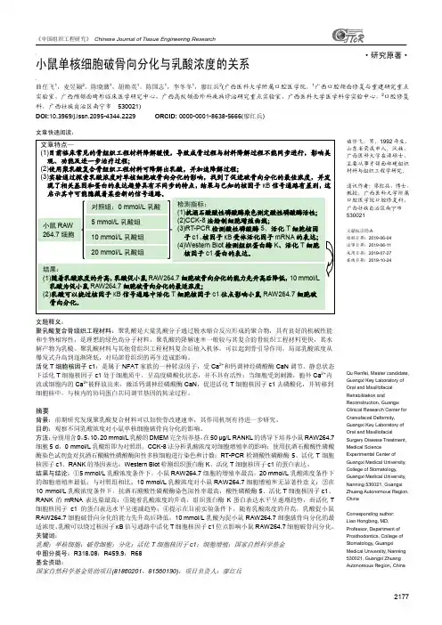 小鼠单核细胞破骨向分化与乳酸浓度的关系