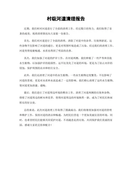 村级河道清理报告