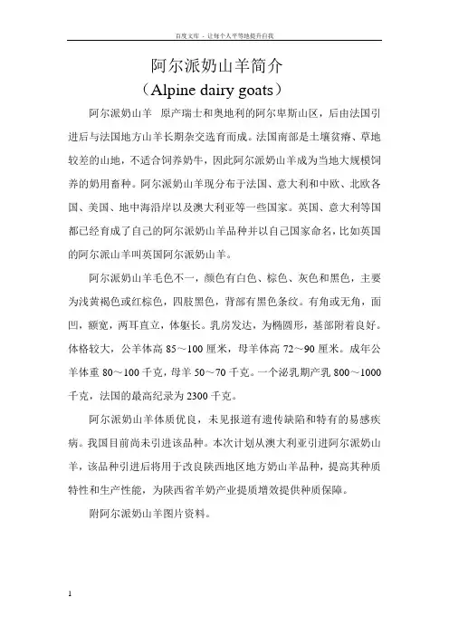阿尔卑乳山羊简介