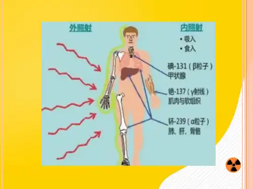 高等电离辐射防护教程夏益华9外照射防护-优秀PPT文档
