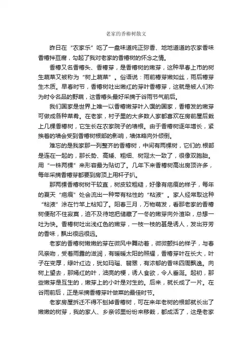 老家的香椿树散文