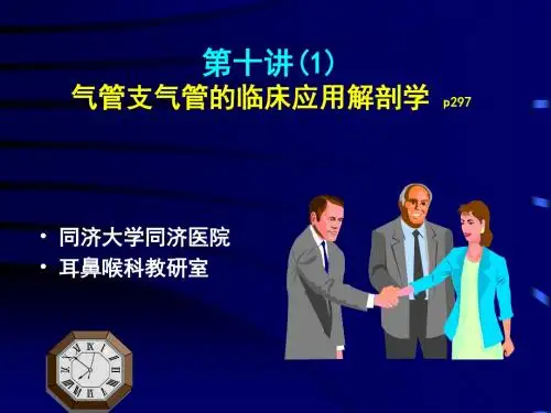 气管支气管的临床应用解剖学