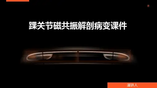 踝关节磁共振解剖病变课件