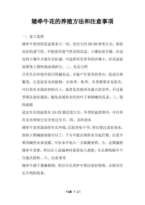 矮牵牛花的养殖方法和注意事项 