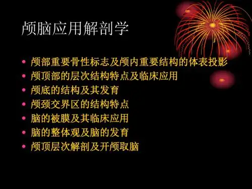 颅脑应用解剖学幻灯
