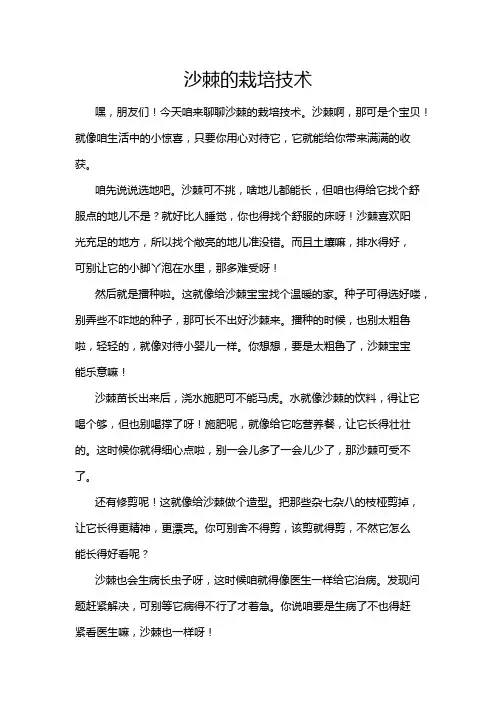 沙棘的栽培技术