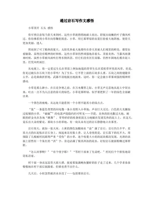 通过岩石写作文感悟