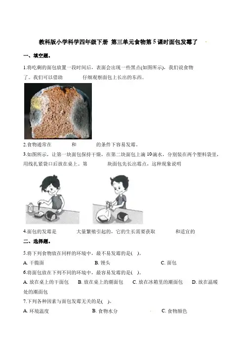 四年级下册科学一课一练-第三单元食物第5课时面包发霉了∣教科版含解析
