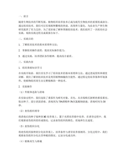 组培社会实践报告