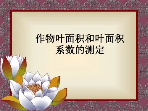 叶面积测定讲解