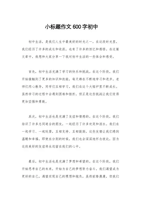 小标题作文600字初中