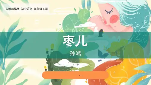 《枣儿》PPT优质课件