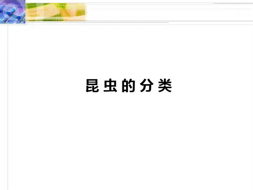 第三节农业昆虫重要类别的识别精品PPT课件