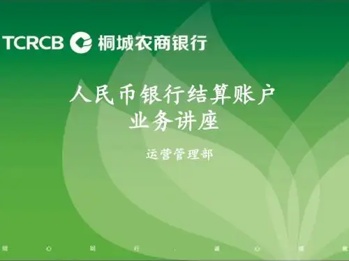 人民币银行结算账户业务讲座
