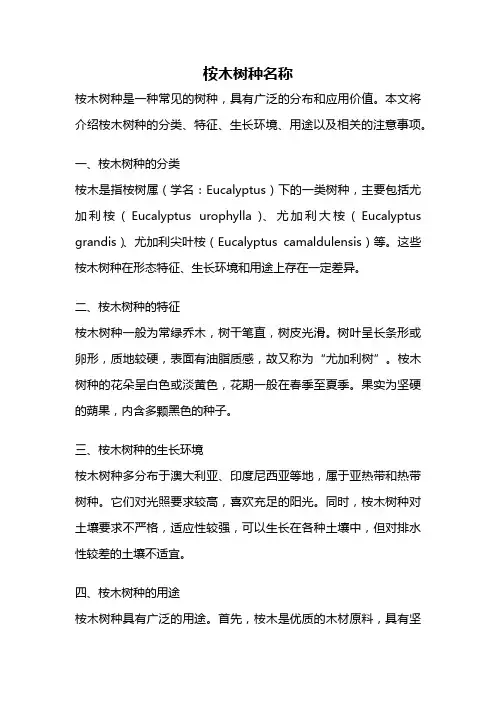 桉木树种名称