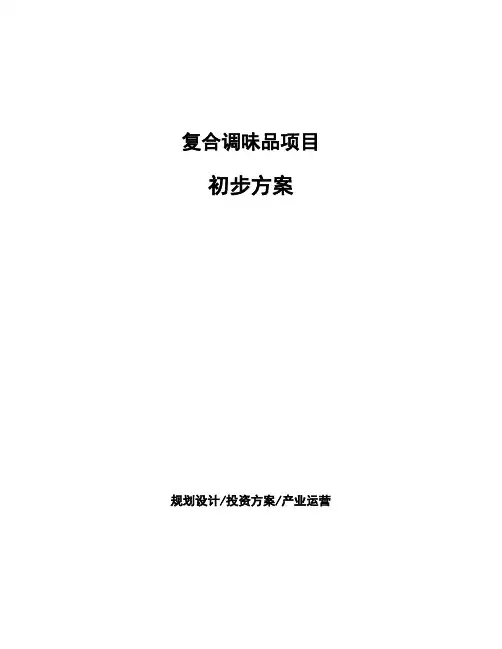 复合调味品项目初步方案