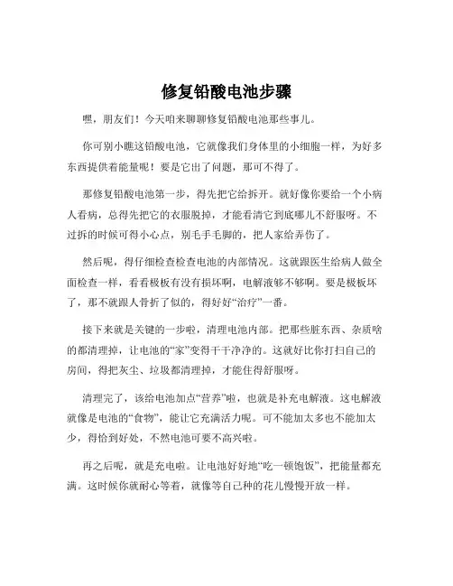修复铅酸电池步骤