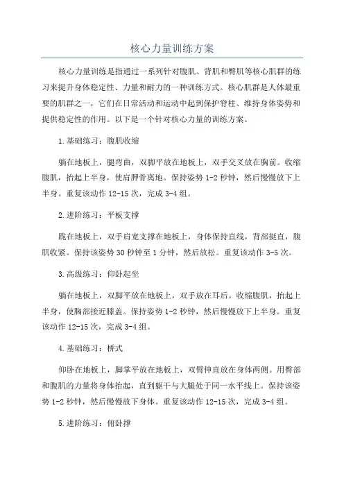 核心力量训练方案