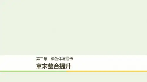 高中生物第二章章末整合提升课件浙科版必修2