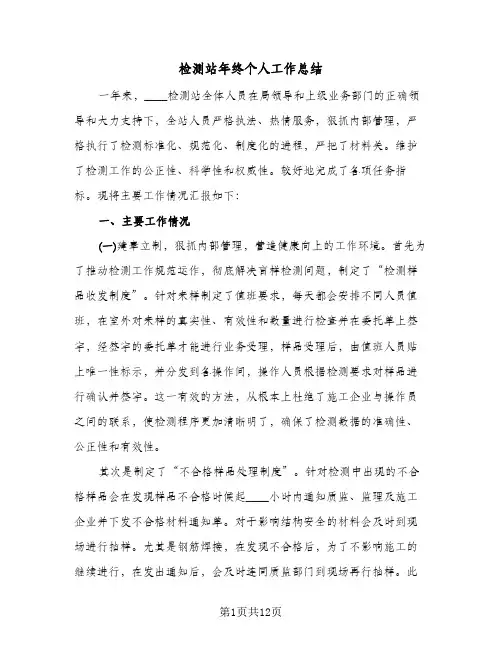 检测站年终个人工作总结(4篇)