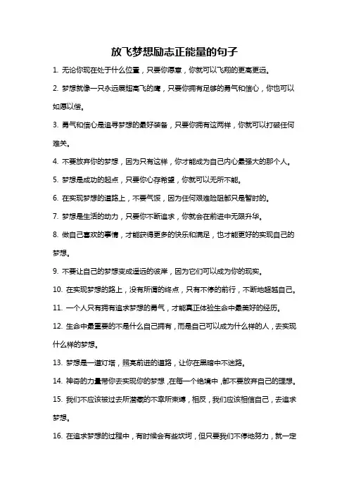放飞梦想励志正能量的句子