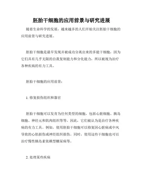 胚胎干细胞的应用前景与研究进展