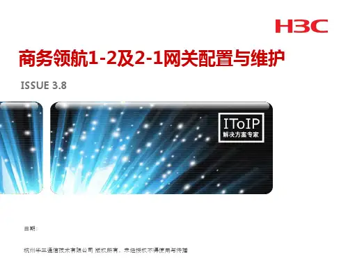 商务领航网关1-2和2-1配置与维护