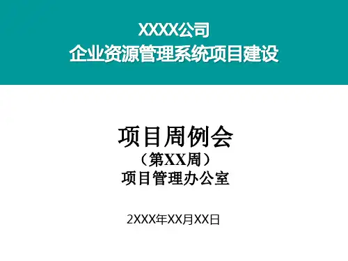 SAP项目PMO周报模板