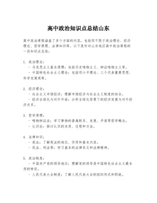 高中政治知识点总结山东