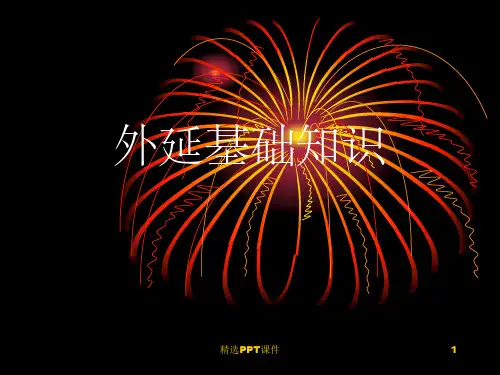 外延基础知识PPT课件