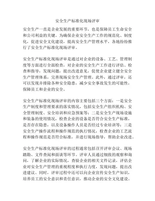安全生产标准化现场评审