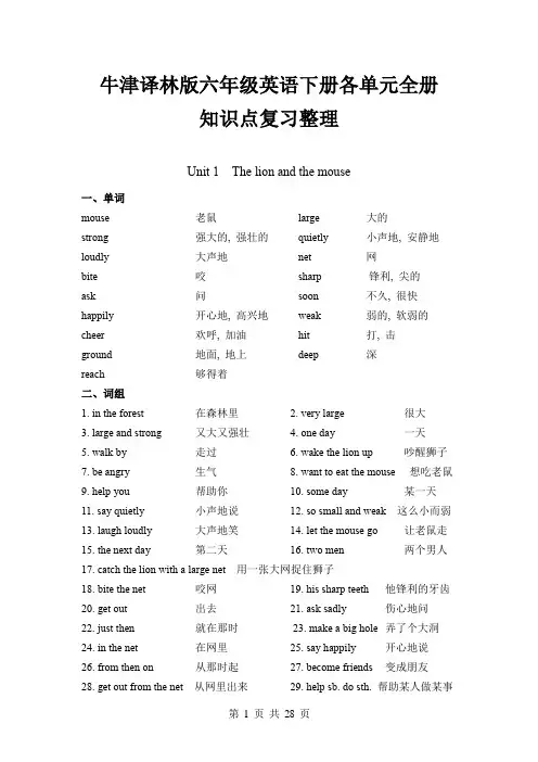 牛津译林版六年级英语下册各单元全册知识点复习整理