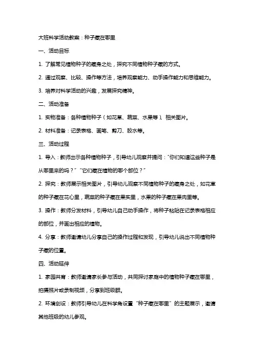 大班科学活动教案：种子藏在哪里