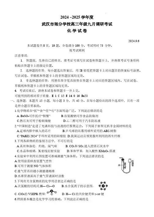 2025届湖北武汉市高三9月第一次调研考试化学试题+答案