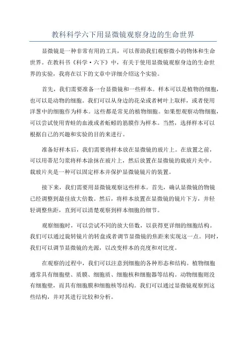 教科科学六下用显微镜观察身边的生命世界