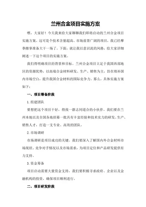 兰州合金项目实施方案