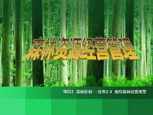 森林区划 组织森林经营类型