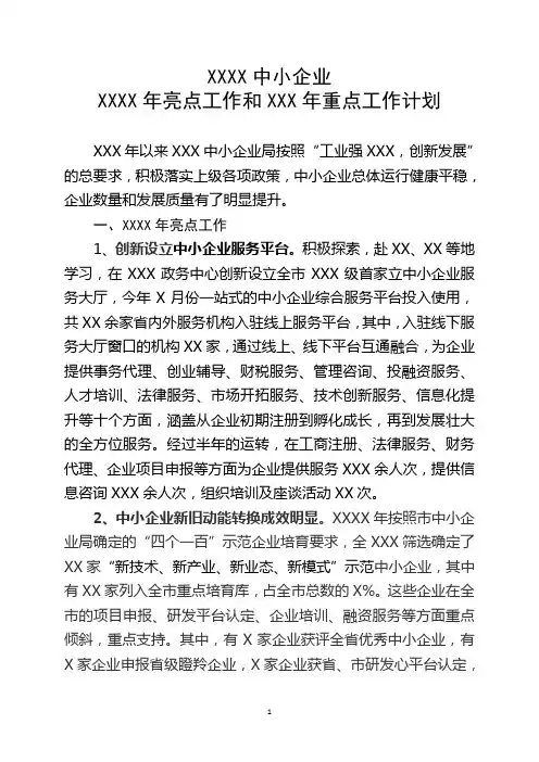 中小企业工作亮点和工作计划