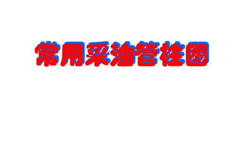 3常用采油管柱图