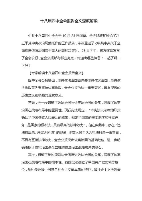 十八届四中全会报告全文深度解读