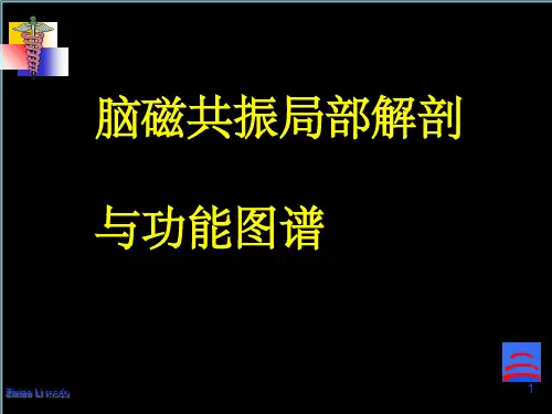 头颅磁共振图谱