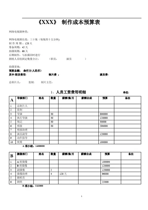 网剧电视剧制作预算表