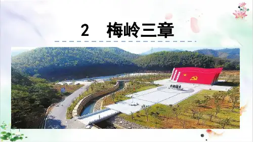 部编版《梅岭三章》精品ppt课件