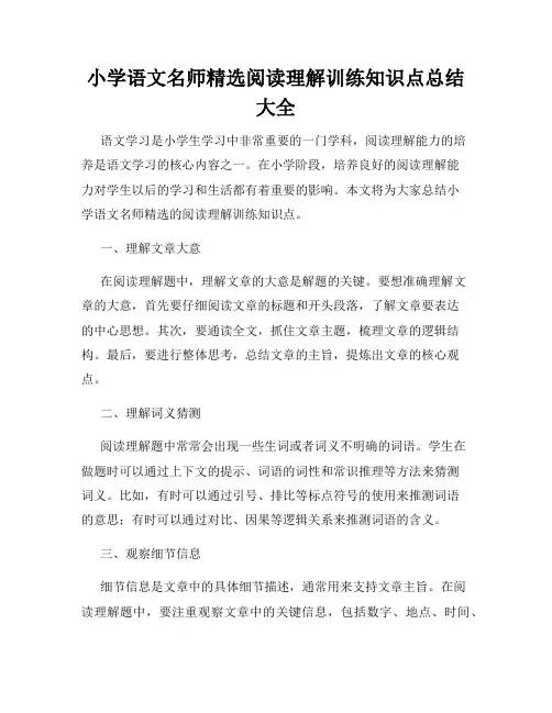 小学语文名师精选阅读理解训练知识点总结大全