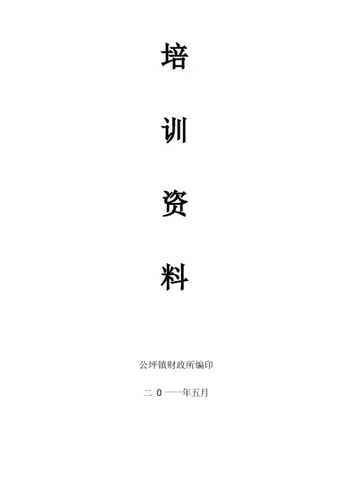 2022年村报账员培训资料